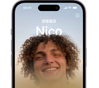 信州苹果15服务站分享iPhone15实时语音留言开启方法 